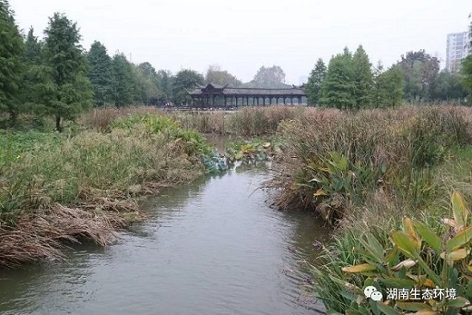 湖南綠楷節能環?？萍加邢薰?湖南土壤污染修復,污水處理工程,農業污染治理,環保工程